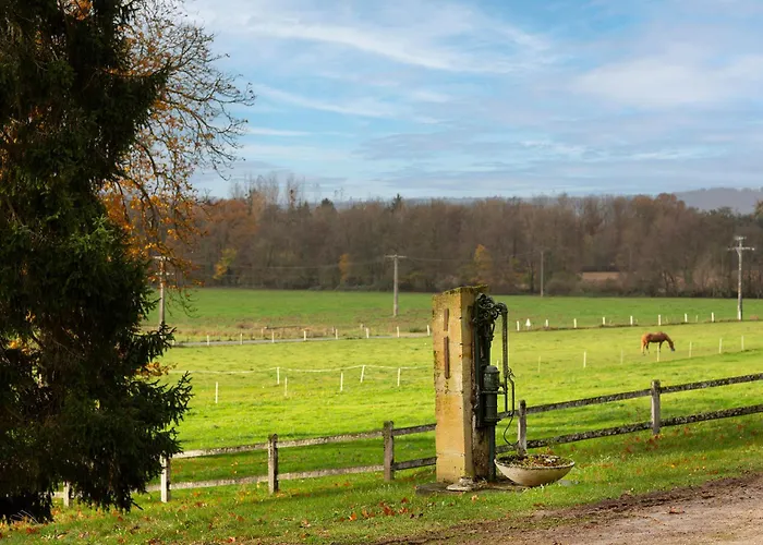 Private Oasis: Luxe 20-guest Estate, Jacuzzi, 8 Ha Villa